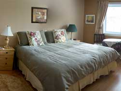 Image D